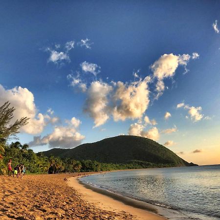 Le Surf Lodge, Chambre Avec Vue Mer Dans Un Ecrin De Verdure Deshaies Kültér fotó