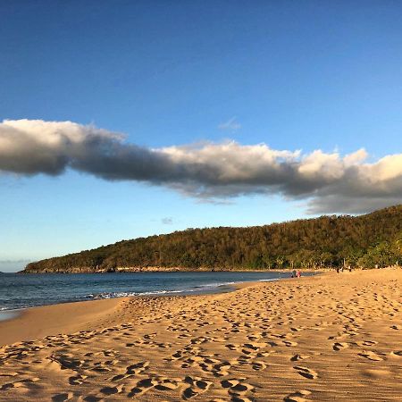 Le Surf Lodge, Chambre Avec Vue Mer Dans Un Ecrin De Verdure Deshaies Kültér fotó