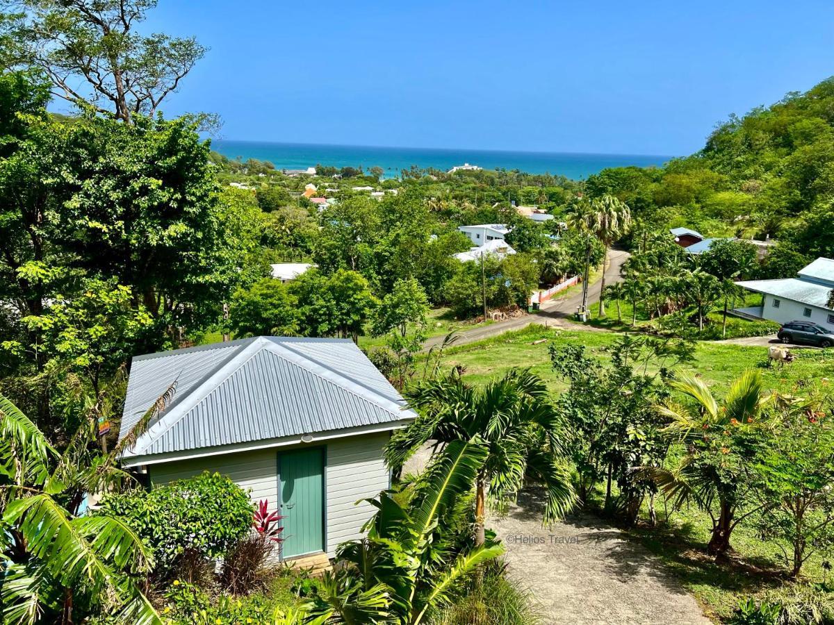 Le Surf Lodge, Chambre Avec Vue Mer Dans Un Ecrin De Verdure Deshaies Kültér fotó