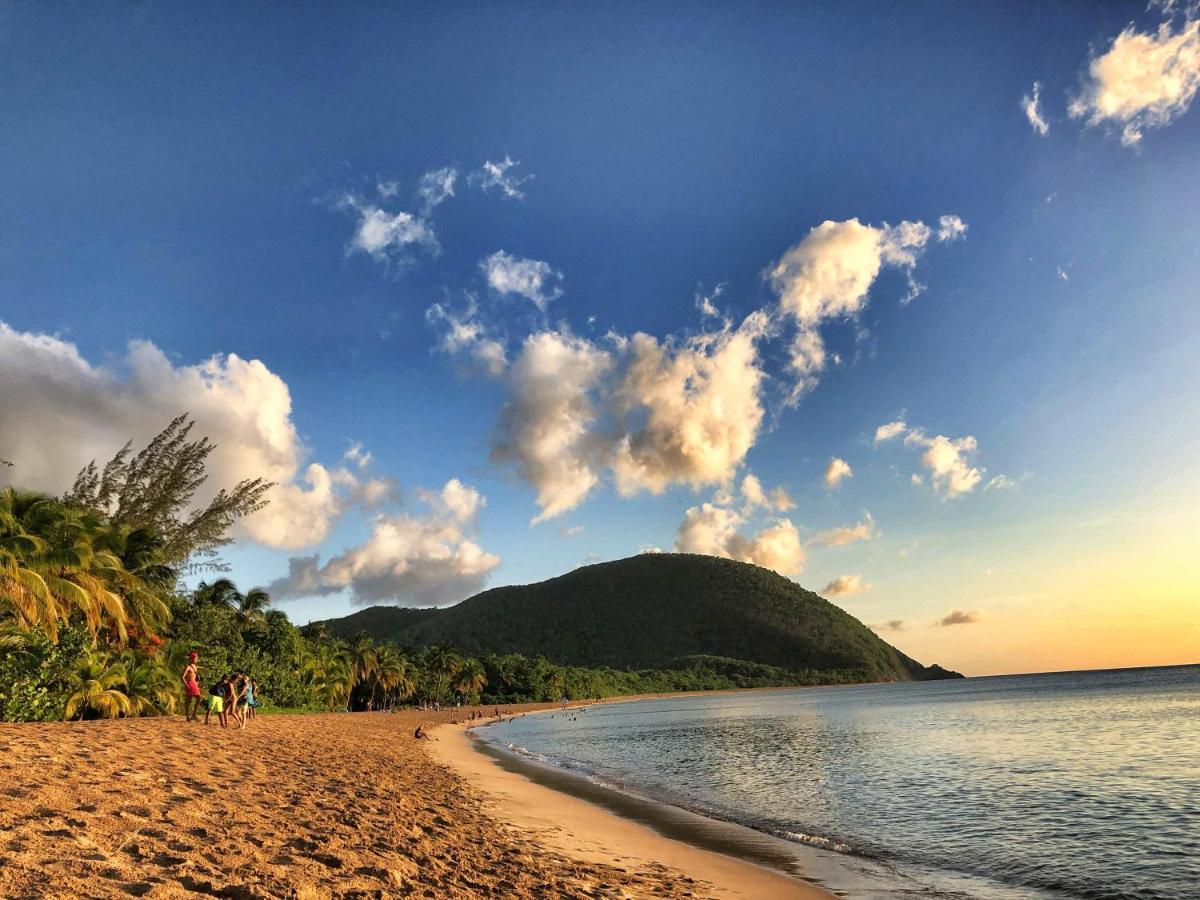 Le Surf Lodge, Chambre Avec Vue Mer Dans Un Ecrin De Verdure Deshaies Kültér fotó