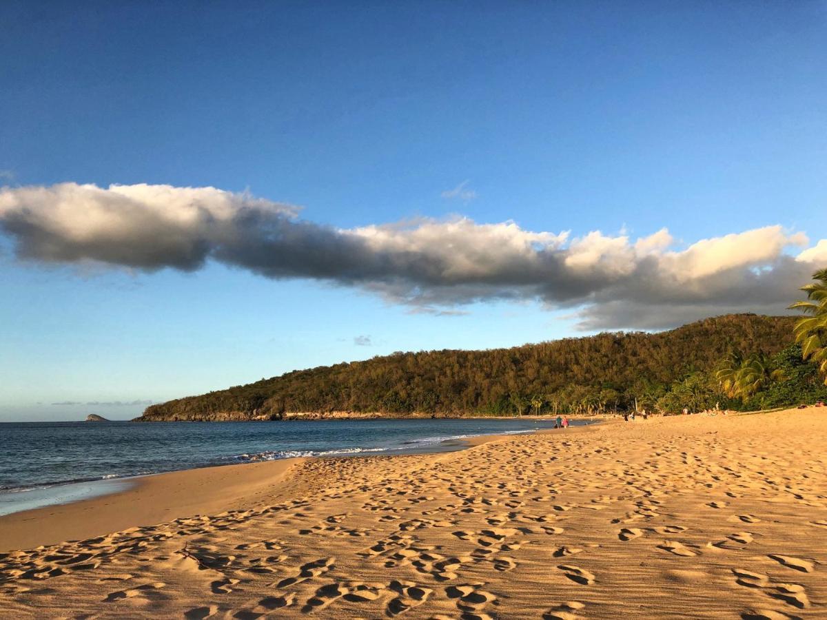 Le Surf Lodge, Chambre Avec Vue Mer Dans Un Ecrin De Verdure Deshaies Kültér fotó